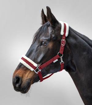 Kantar z futrem Waldhausen First