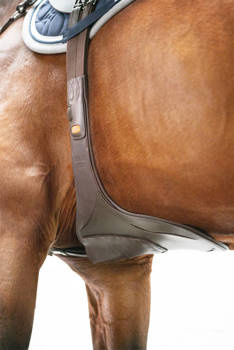 Popręg z fartuchem Schockemöhle Sports Oklahoma