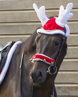 Nauszniki świąteczne QHP Renifer