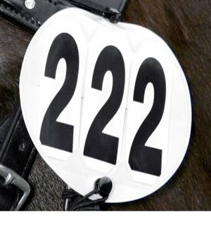 Numerek startowy Waldhausen