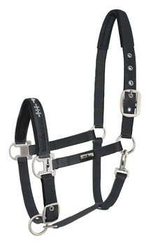 Kantar Fair Play Dion