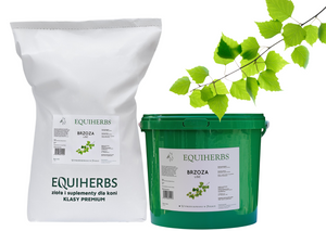 Brzoza liść EQUIHERBS 