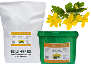 Glistnik jaskółcze ziele EQUIHERBS 