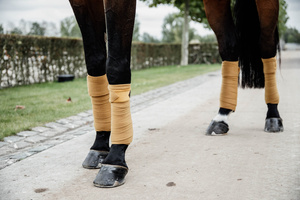 Owijki polarowe Kentucky Horsewear Velvet