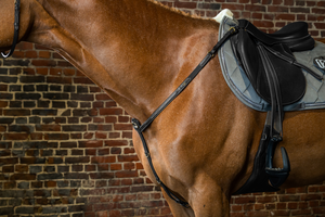 Napierśnik Dy'on D Collection DY06A