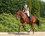 Bryczesy młodzieżowe z lejem silikonowym QHP Filip Junior