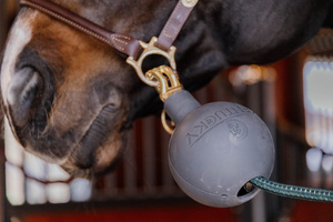 Kula ochronna do uwiązu Kentucky Horsewear