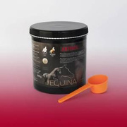 Suplement wspomagający układ ruchu Equina Artisol 900g