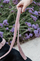 Smycz dla psa Kentucky Dogwear Teddy - 120 cm