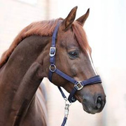 Kantar Kavalkade Classic Simple