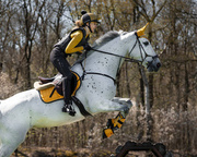 Czaprak wszechstronny QHP Eldorado