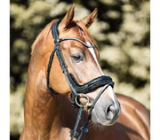 Ogłowie anatomiczne Kavalkade Ivella