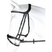 Ogłowie z cofnięta potylicą Horka