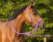 Kantar sznurkowy z wodzami QHP