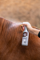 Spray do pielęgnacji sierści, grzywy i ogona Magic Brush Coco Bello 