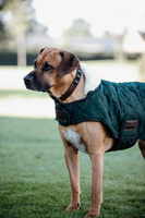 Derka dla psa Kentucky Dogwear Original