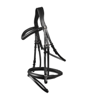 Ogłowie z nachrapnikiem kombinowanym Waldhausen X-Line London