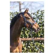 Kantar ANKY® Grooming