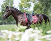 Czaprak ujeżdżeniowy QHP Lily