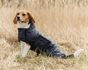 Derka dla psa QHP Classy