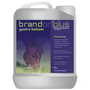 Balsam na wrzody Brandon Plus Gastro 2,5 L