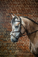 Ogłowie z nachrapnikiem meksykańskim Dy'on D Collection DYAAAC