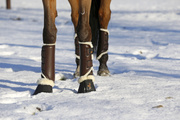 Ochraniacze ujeżdżeniowe z futrem Kentucky Horsewear Turnout Boots Leather - przody