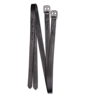 Puśliska Waldhausen X-line