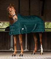 Derka stajenna Waldhausen Economic 300g