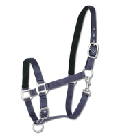 Kantar Waldhausen Satin