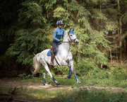 Czaprak wszechstronny QHP Eldorado