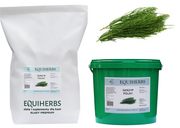 Skrzyp polny EQUIHERBS 
