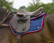 Czaprak wszechstronny QHP Eldorado