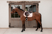Czaprak wszechstronny Kentucky Horsewear Sparkling 