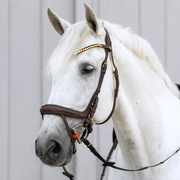 Ogłowie z nachrapnikiem kombinowanym Kavalkade Caliano