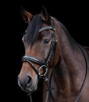 Ogłowie z nachrapnikiem szwedzkim Waldhausen S-Line Blackshine Patent 