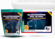 Glukozamina Equine America HCI 12 000