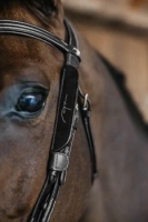 Zaślepki Dy'on Blinkers AB99Q