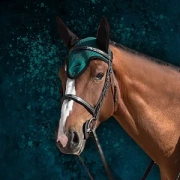 Nauszniki klasyczne eQuick