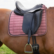 Puśliska wszechstronne QHP Mono