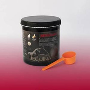 Suplement wspierający aparatu ruchu Equina Artisol Ultra 900g