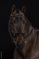 Ogłowie anatomiczne Schockemöhle Sports Equitus Beta Glam