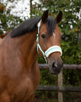 Kantar z futerkiem QHP Cali