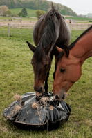 Torba na siano do boksu i na padok Grooming Deluxe Play & Haybag Slow Feeder Round 
