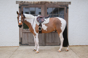 Czaprak wszechstronny Kentucky Horsewear Melange