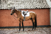 Czaprak wszechstronny Kentucky Horsewear Fishbone