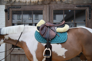 Czaprak wszechstronny Kentucky Horsewear Melange