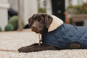 Derka dla psa Kentucky Dogwear Original