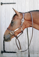 Uwiąz z łańcuszkiem pokrytym skórą syntetyczną Kentucky Horsewear Leather Covered Chain Lead