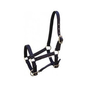 Kantar źrebięcy York Tobi